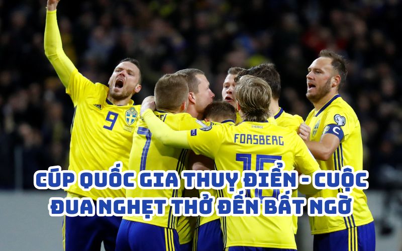 Giới thiệu cúp quốc gia Thụy Điển